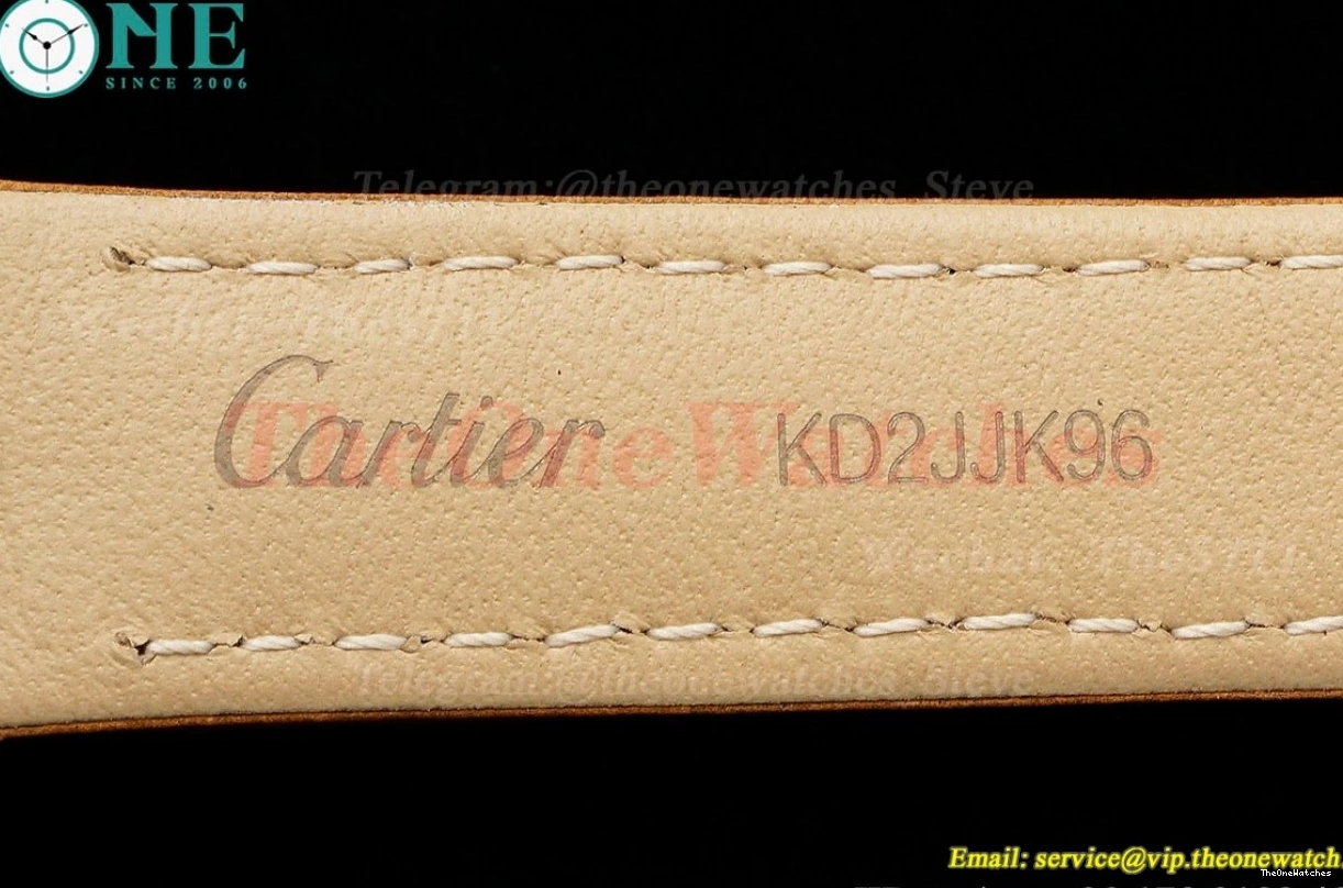 LE AF Dumont RG Silver Dial Brown Santos Quartz 1203